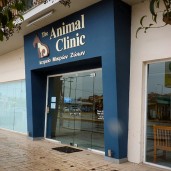 The Animal Clinic