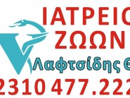 ΙΑΤΡΕΙΟ ΖΩΩΝ ΘΕΡΜΗΣ ΠΑΝΟΡΑΜΑΤΟΣ ΘΕΟΧΑΡΗΣ ΛΑΦΤΣΙΔΗΣ