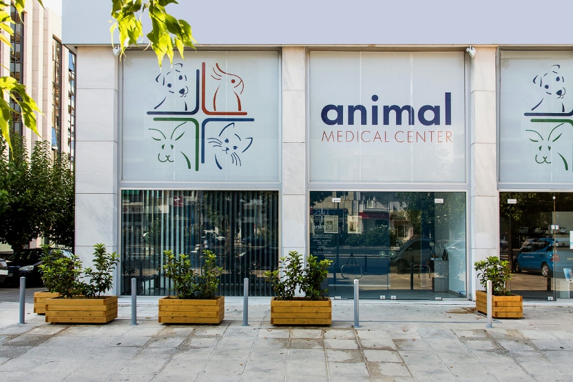 Animal Medical Center EE