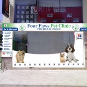 Four Paws