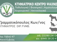 ΚΩΝΣΤΑΝΤΙΝΟΣ ΓΡΑΜΜΑΤΙΚΟΠΟΥΛΟΣ