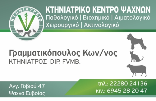 ΚΩΝΣΤΑΝΤΙΝΟΣ ΓΡΑΜΜΑΤΙΚΟΠΟΥΛΟΣ