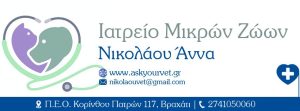 Άννα Νικολάου